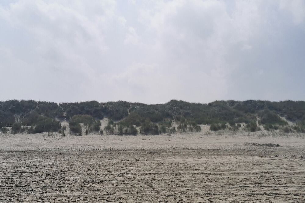 Het brede strand van Renesse met de duinenrij erachter